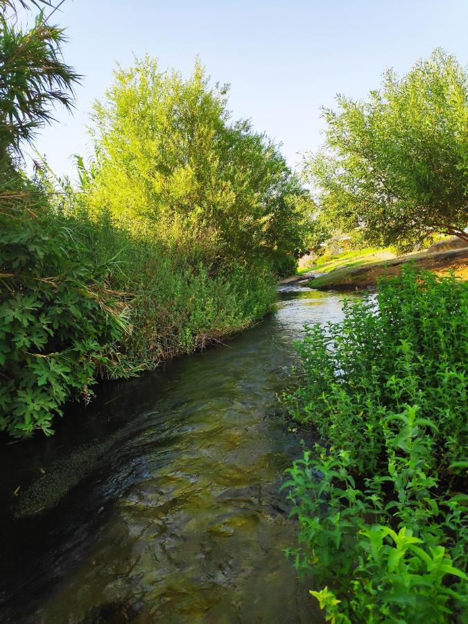 Villa By The River Facing The Hermon In Dafna Exterior photo